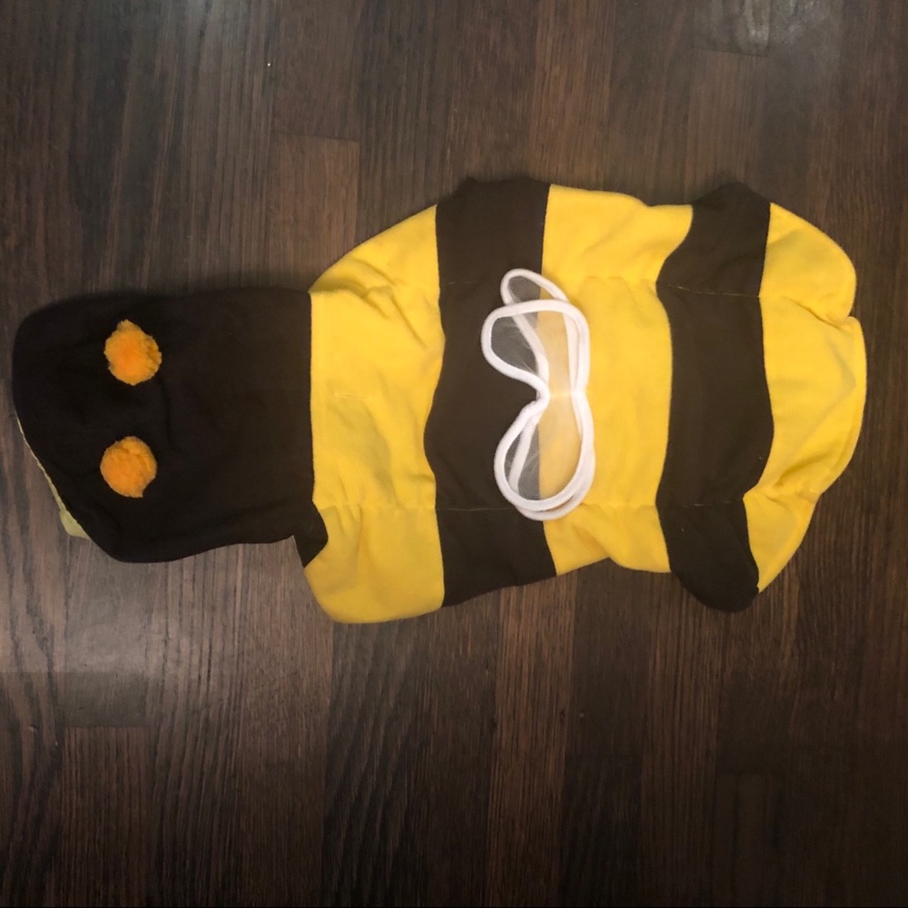 Dog bumble bee costume